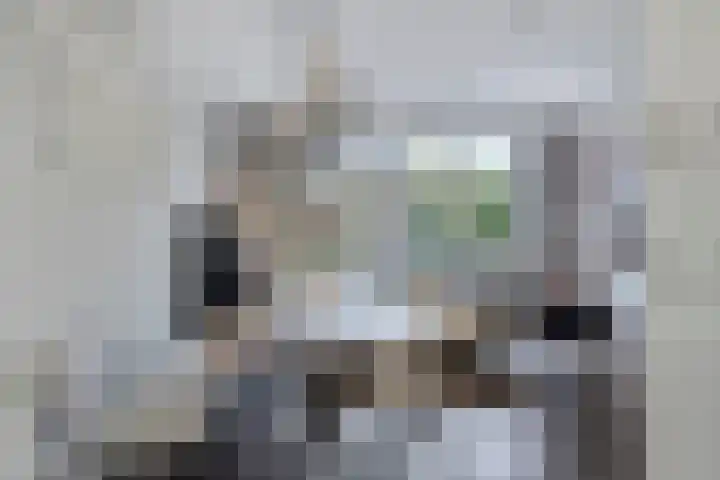 Halvemaanstraat 12 Eindhoven thumbnail 10