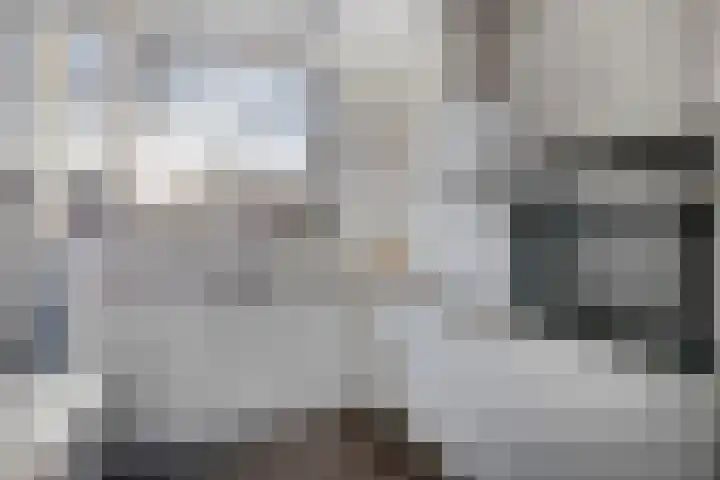 Halvemaanstraat 12 Eindhoven thumbnail 12