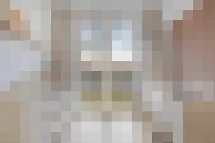Halvemaanstraat 12 Eindhoven thumbnail 23