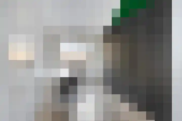 Halvemaanstraat 12 Eindhoven thumbnail 30