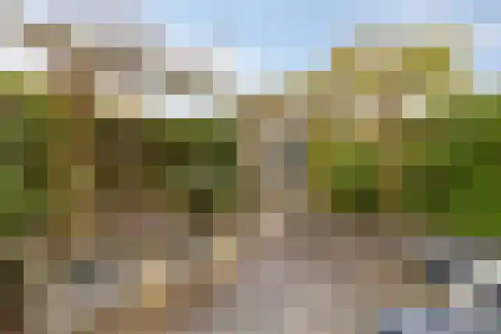 Halvemaanstraat 12 Eindhoven thumbnail 32