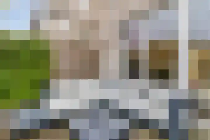 Halvemaanstraat 12 Eindhoven thumbnail 34