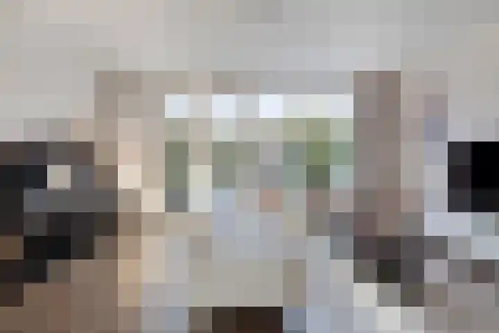 Halvemaanstraat 12 Eindhoven thumbnail 5