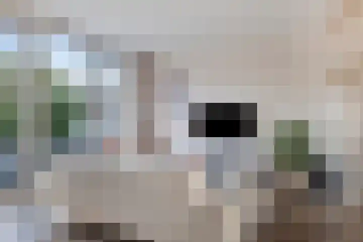 Halvemaanstraat 12 Eindhoven thumbnail 6