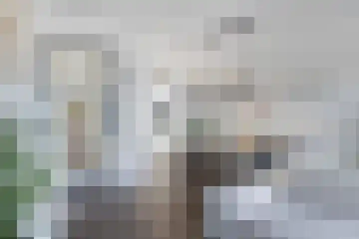 Halvemaanstraat 12 Eindhoven thumbnail 8