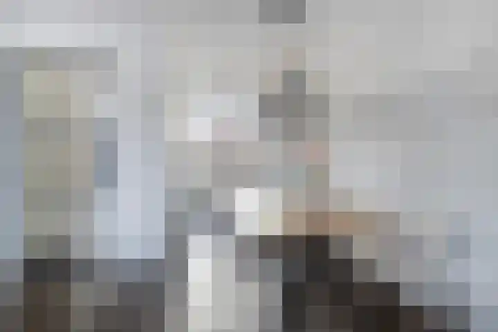 Halvemaanstraat 12 Eindhoven thumbnail 9