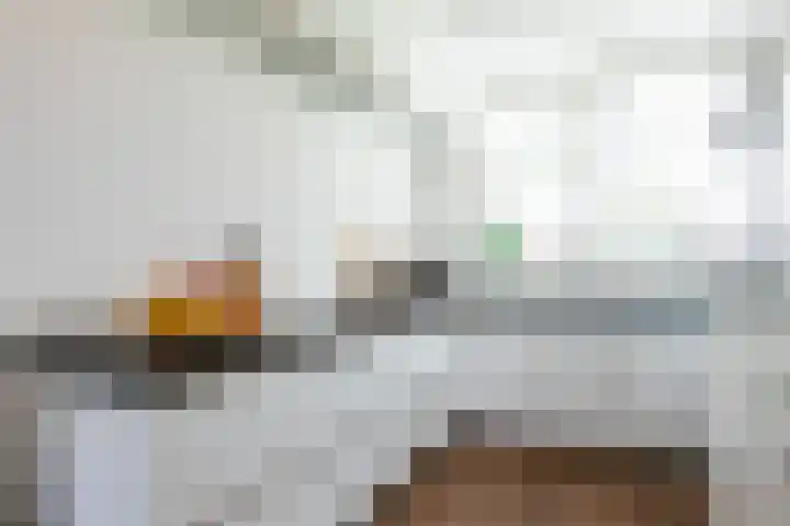 Halvemaanstraat 14 Eindhoven thumbnail 11