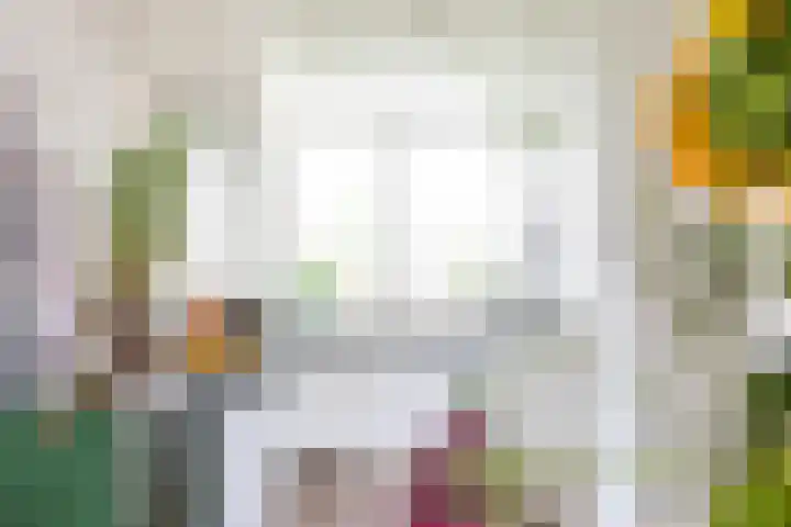 Halvemaanstraat 14 Eindhoven thumbnail 13