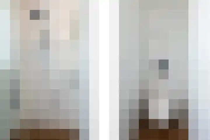 Halvemaanstraat 14 Eindhoven thumbnail 22
