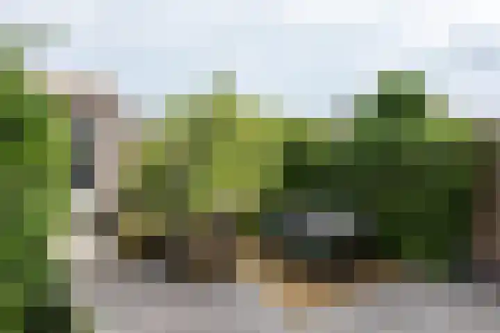 Halvemaanstraat 14 Eindhoven thumbnail 29