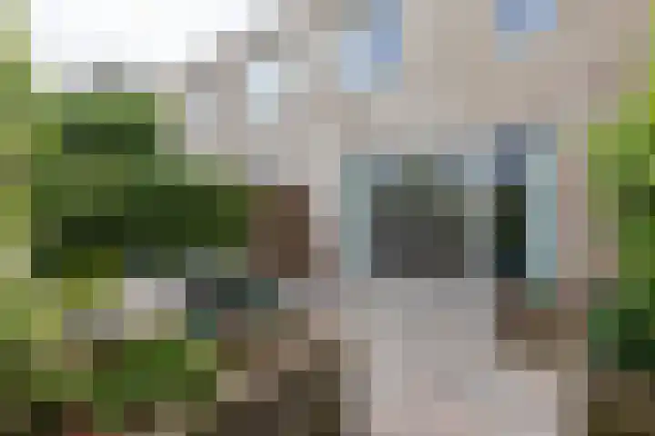Halvemaanstraat 14 Eindhoven thumbnail 31