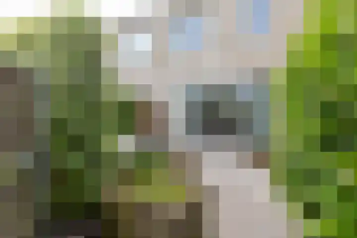 Halvemaanstraat 14 Eindhoven thumbnail 32