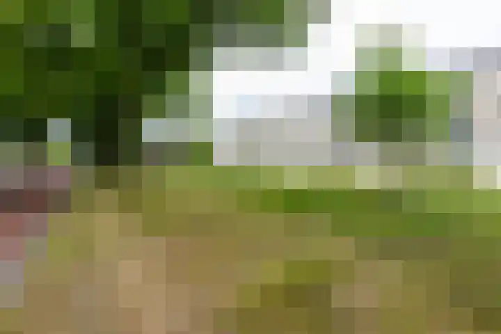 Halvemaanstraat 14 Eindhoven thumbnail 34