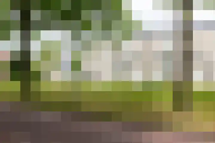 Halvemaanstraat 14 Eindhoven thumbnail 35