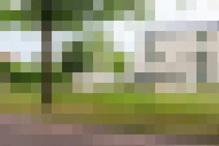 Halvemaanstraat 14 Eindhoven thumbnail 36