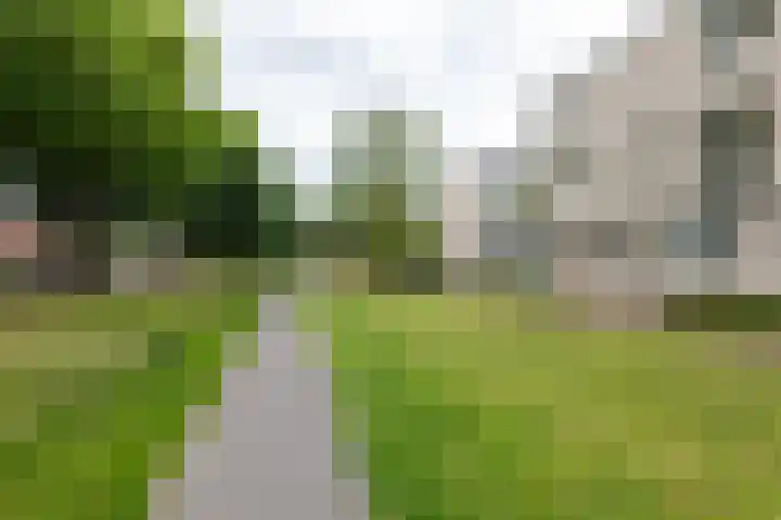 Halvemaanstraat 14 Eindhoven thumbnail 38