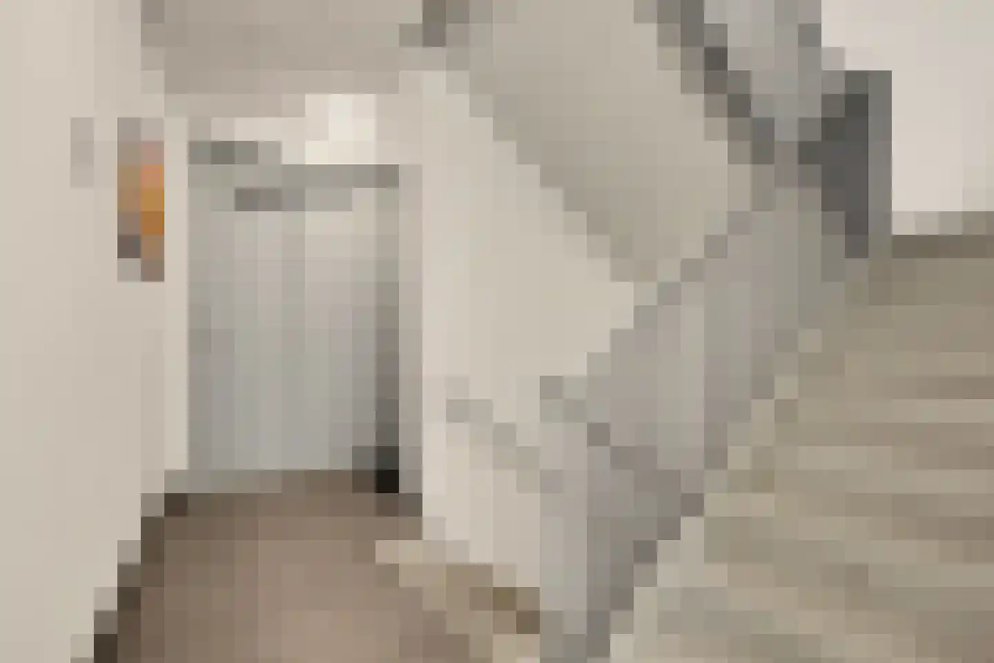 Halvemaanstraat 17 Zutphen thumbnail 6