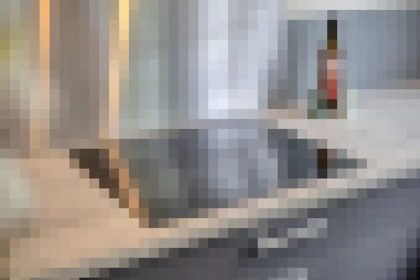Halvemaanstraat 6 Eindhoven thumbnail 12