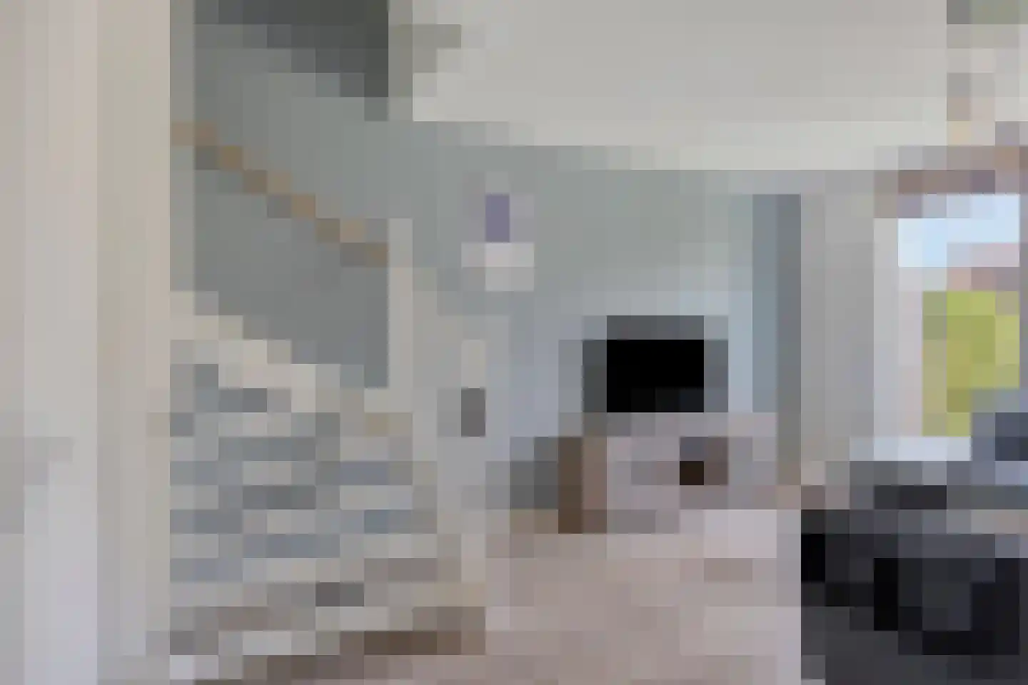 Halvemaanstraat 6 Eindhoven thumbnail 15