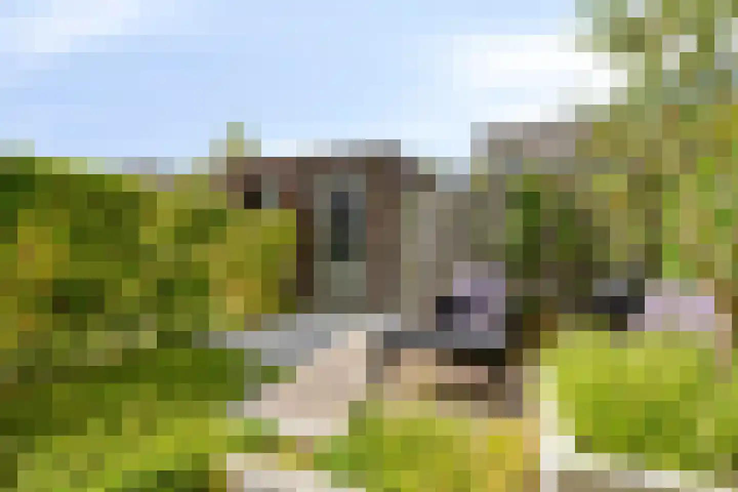 Halvemaanstraat 6 Eindhoven thumbnail 28