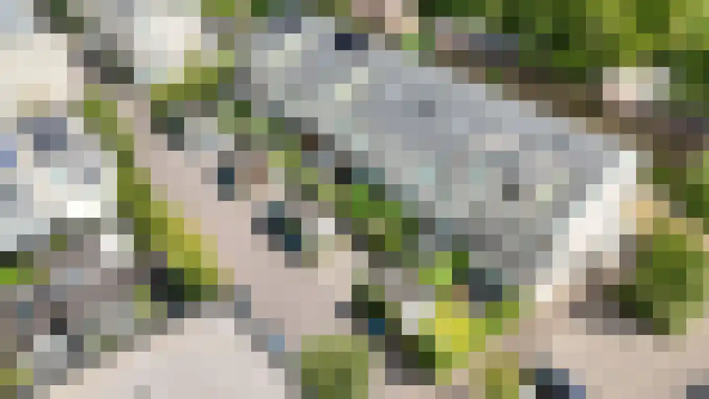 Halvemaanstraat 6 Eindhoven thumbnail 31