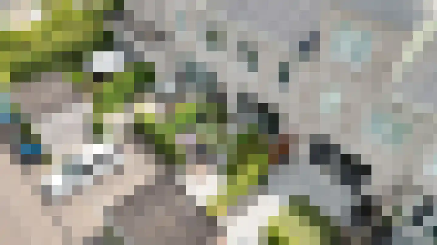 Halvemaanstraat 6 Eindhoven thumbnail 32