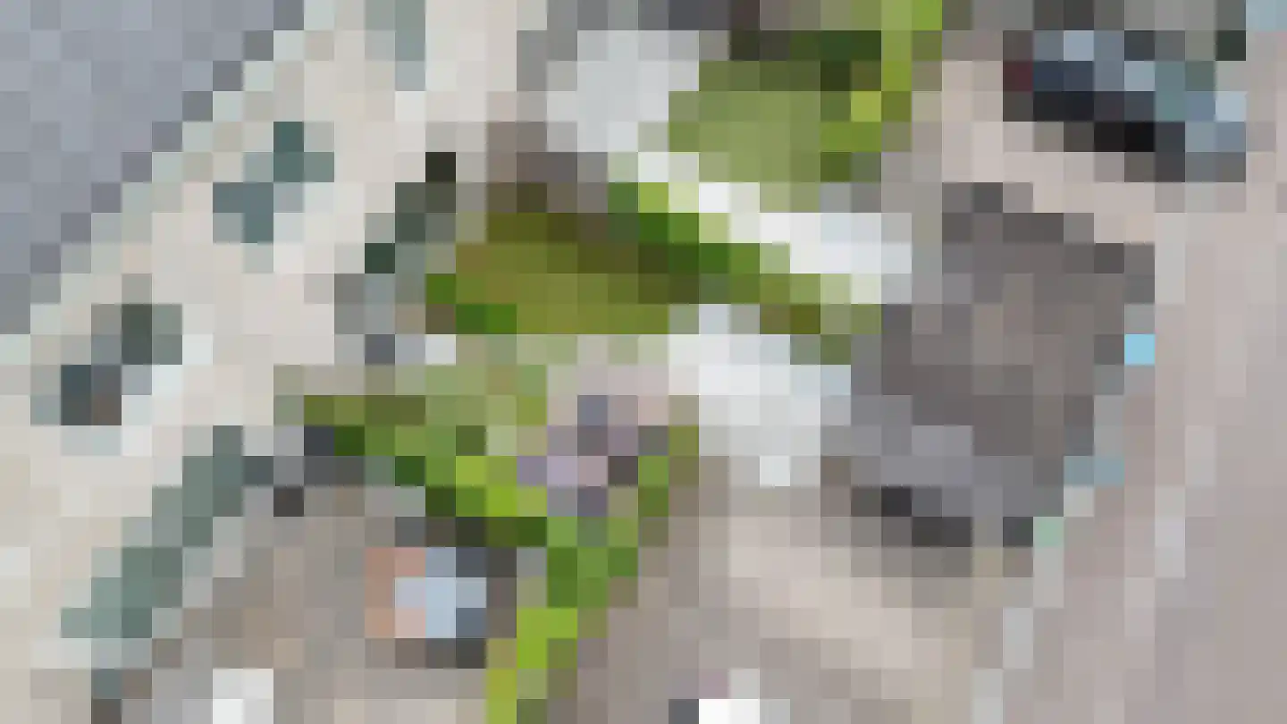Halvemaanstraat 6 Eindhoven thumbnail 33
