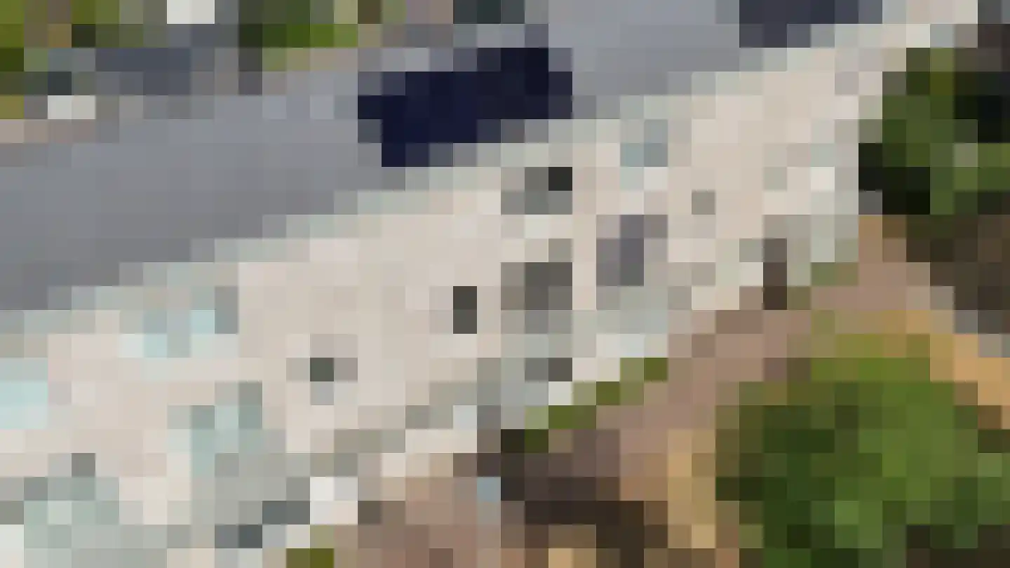Halvemaanstraat 6 Eindhoven thumbnail 34