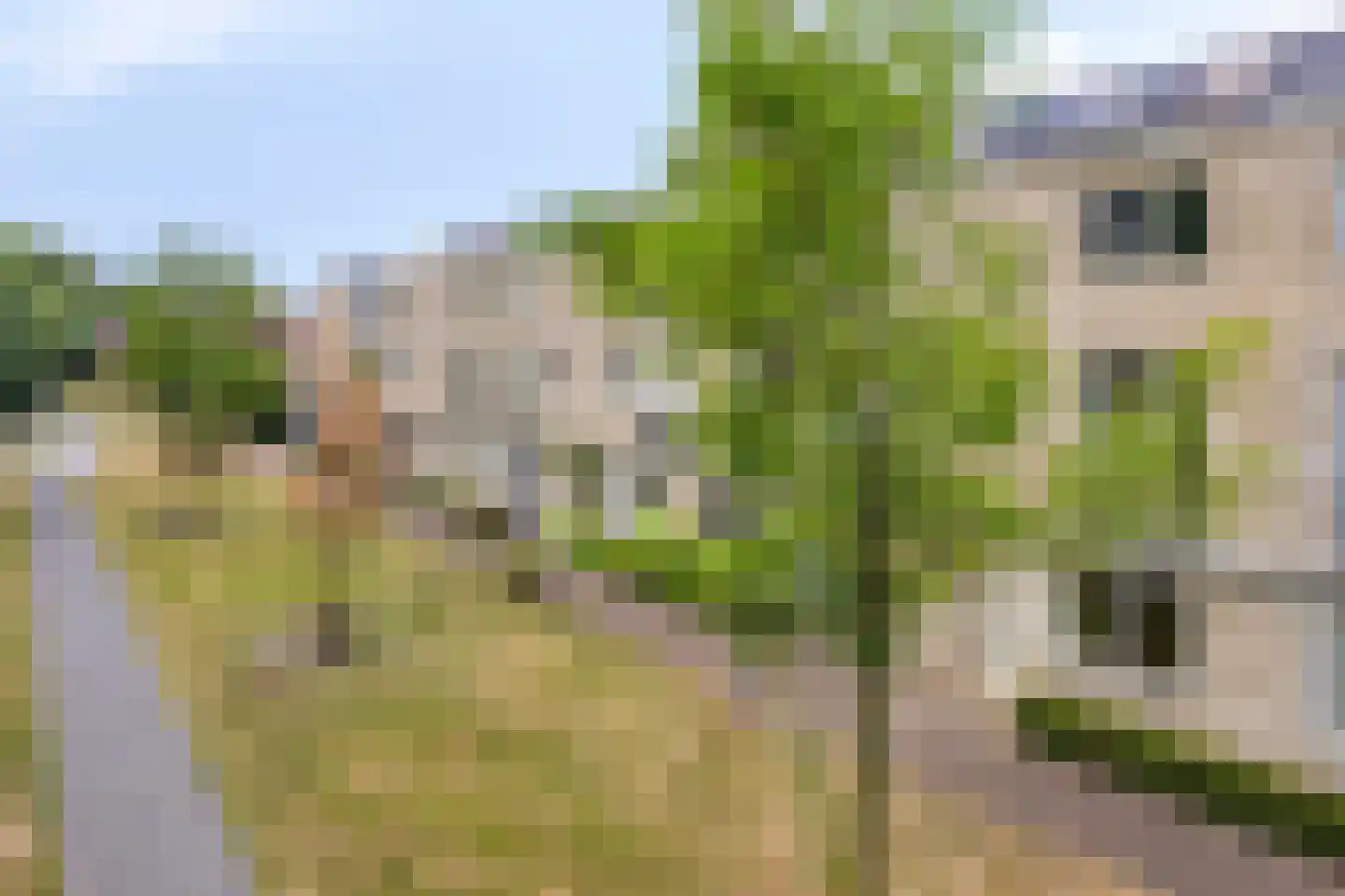 Halvemaanstraat 6 Eindhoven thumbnail 37