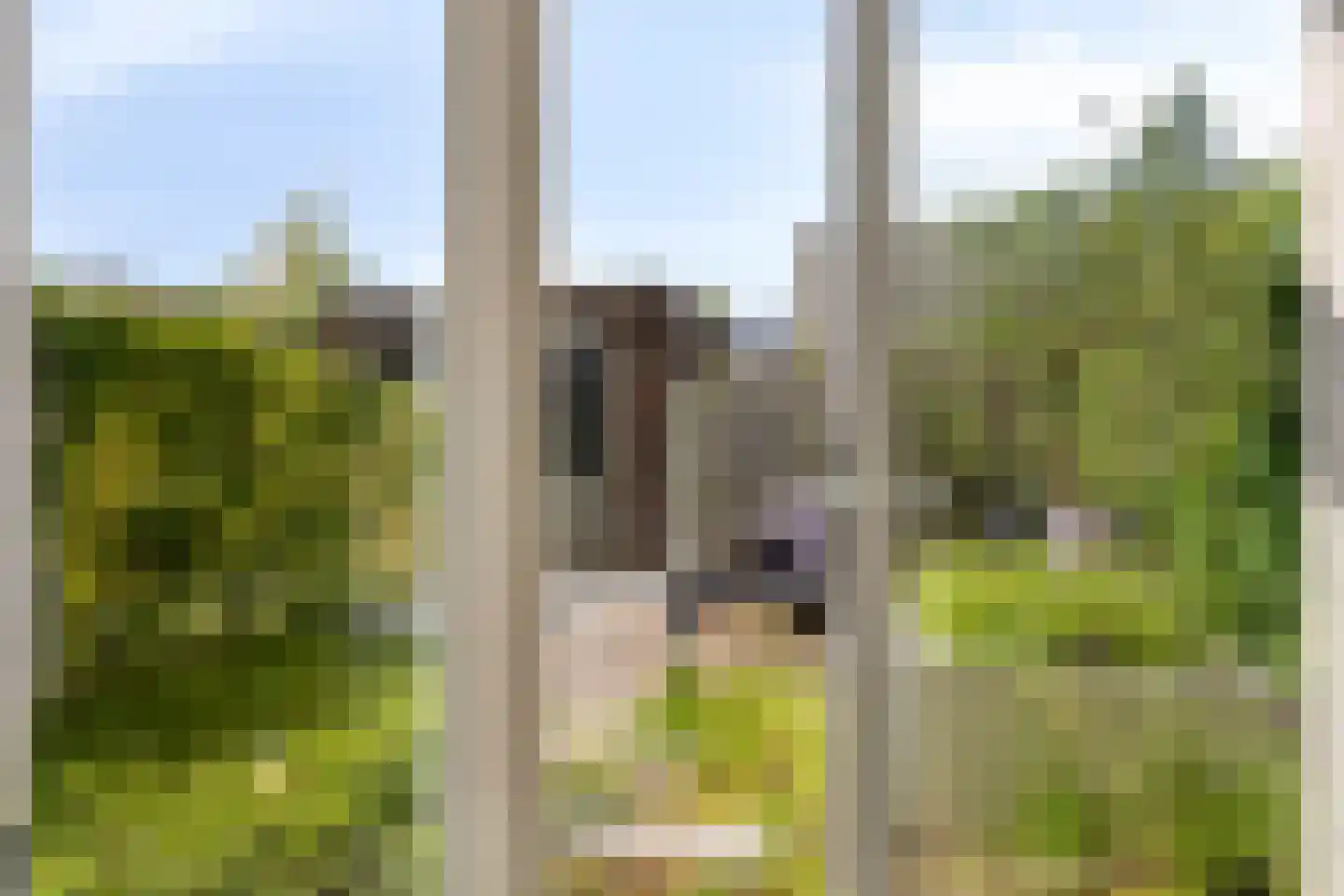 Halvemaanstraat 6 Eindhoven thumbnail 8