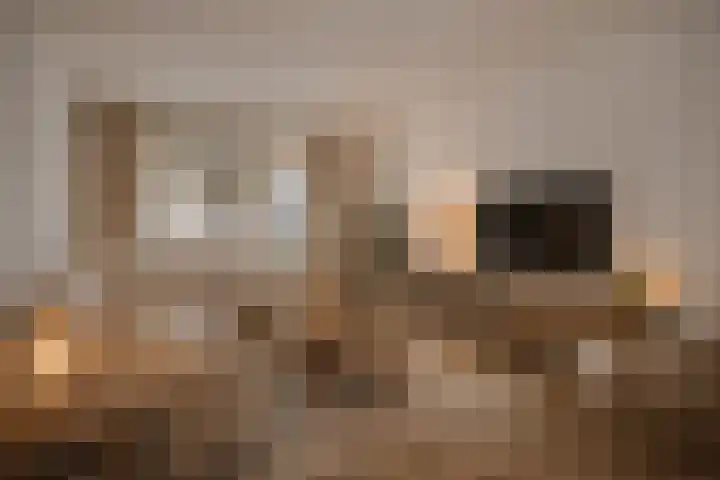 Halvemaanstraat 76 Eindhoven thumbnail 10