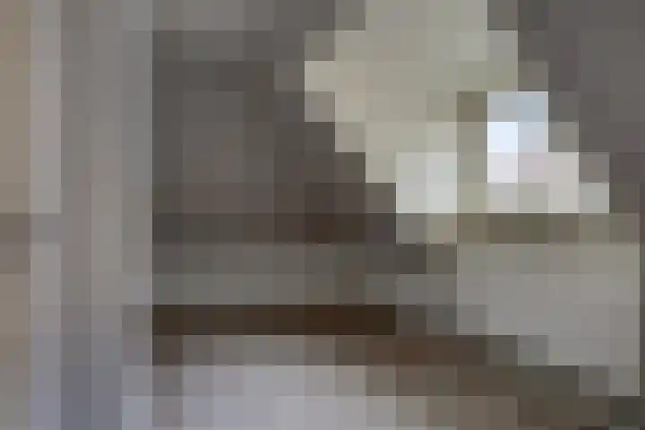Halvemaanstraat 76 Eindhoven thumbnail 27