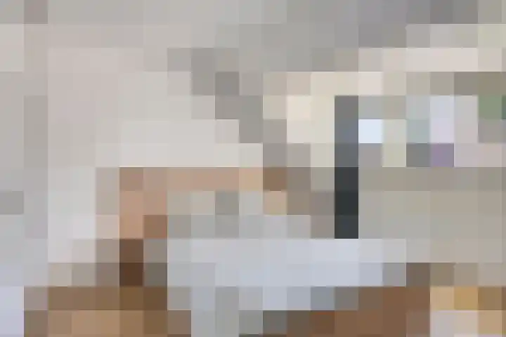 Halvemaanstraat 90 Eindhoven thumbnail 18