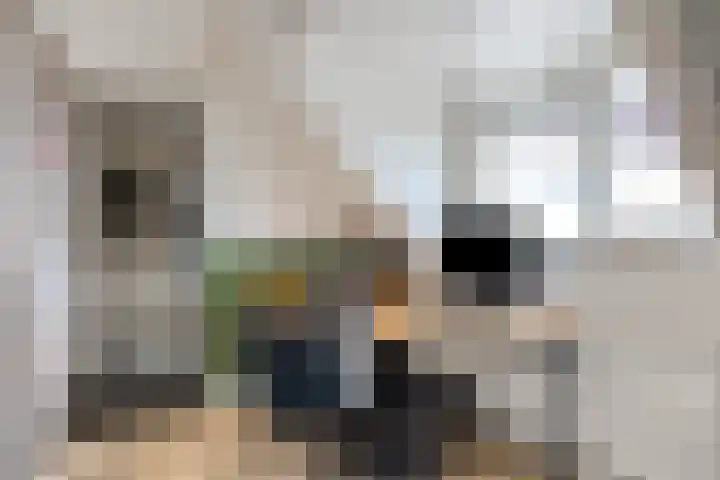 Halvemaanstraat 90 Eindhoven thumbnail 25