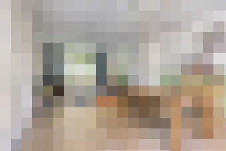 Halvemaanstraat 90 Eindhoven thumbnail 4