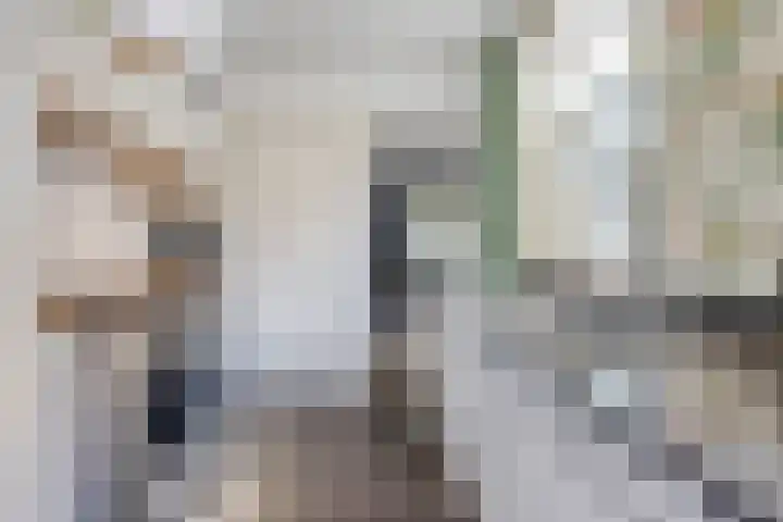 Halvemaanstraat 90 Eindhoven thumbnail 9