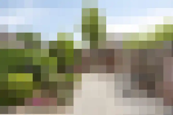 Halvenne 24 Leende thumbnail 22