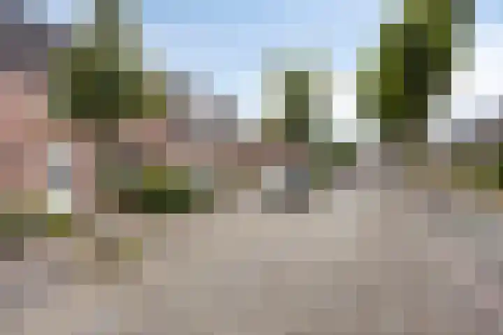 Halvenne 24 Leende thumbnail 24