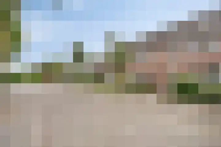 Halvenne 24 Leende thumbnail 25