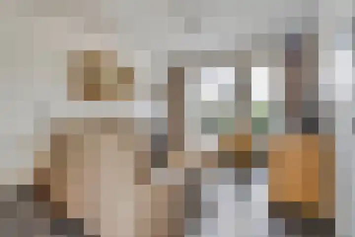 Halvenne 24 Leende thumbnail 5
