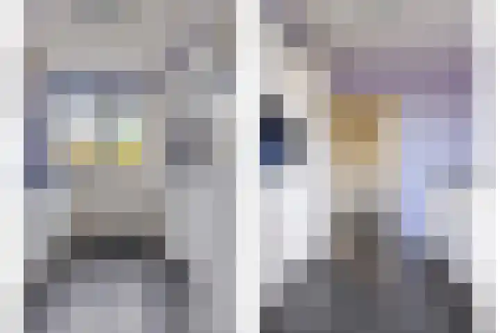 Halvestraat 14 Deventer thumbnail 5