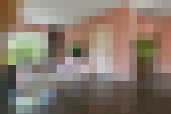 Halvinkhuizerweg 85 Putten thumbnail 10