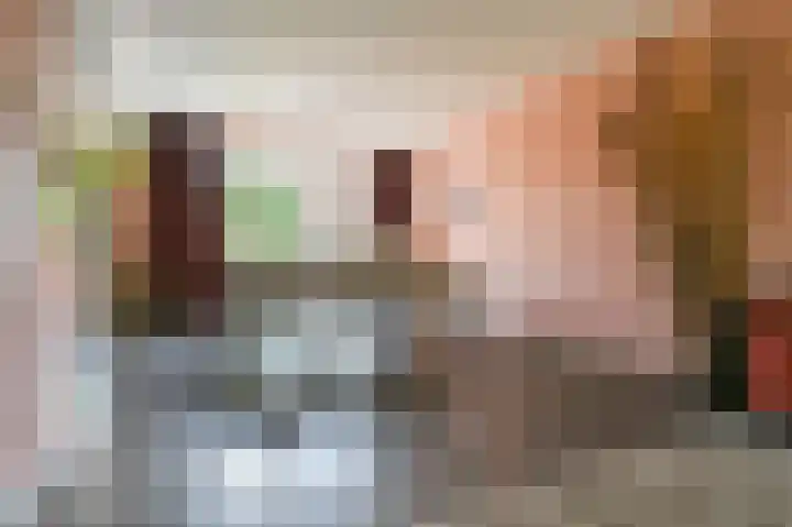 Halvinkhuizerweg 85 Putten thumbnail 12