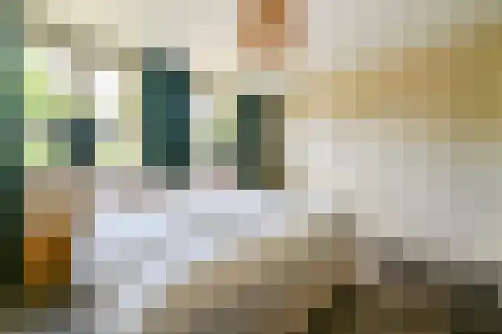 Halvinkhuizerweg 85 Putten thumbnail 24