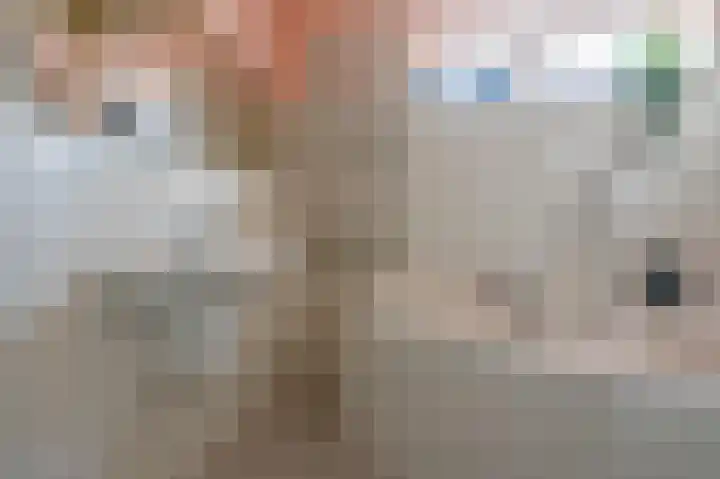 Halvinkhuizerweg 85 Putten thumbnail 33