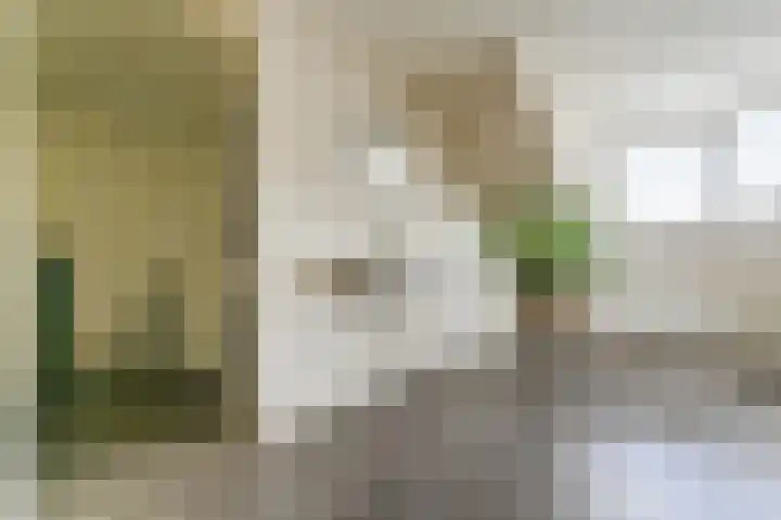 Halvinkhuizerweg 85 Putten thumbnail 35
