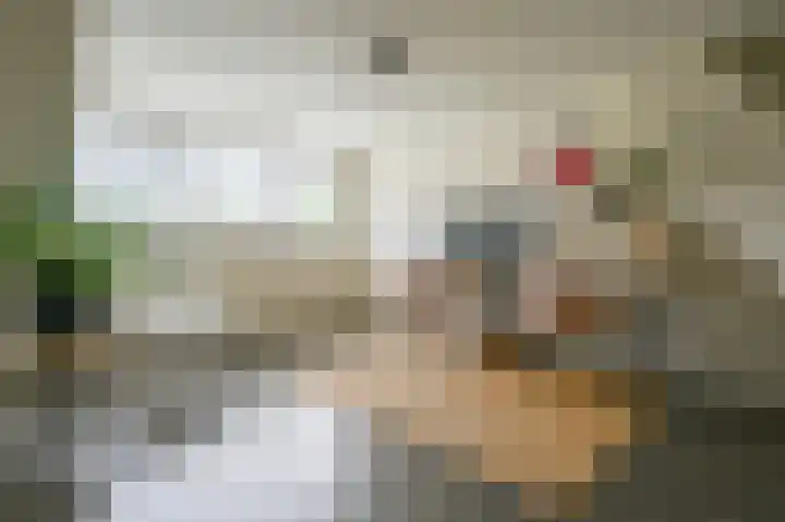 Halvinkhuizerweg 85 Putten thumbnail 37