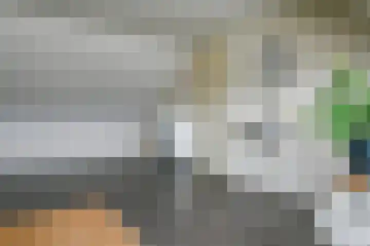 Halvinkhuizerweg 85 Putten thumbnail 38