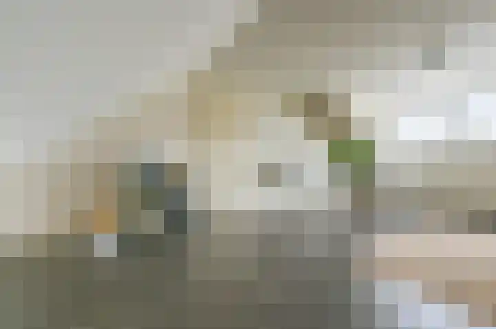 Halvinkhuizerweg 85 Putten thumbnail 39