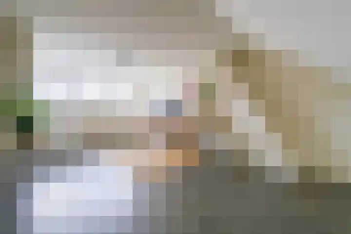 Halvinkhuizerweg 85 Putten thumbnail 40